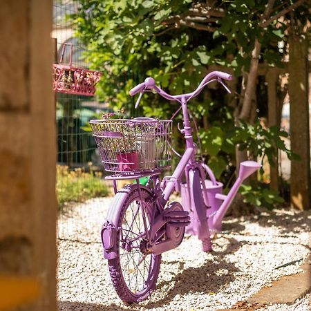 ポレッチCasa Parenzanaアパートメント エクステリア 写真